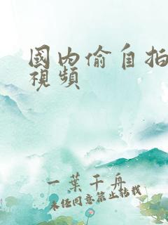 国内偷自拍对白视频