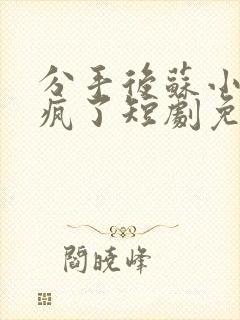 分手后苏小姐杀疯了短剧免费观看全集
