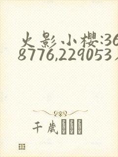 火影小樱:368776,229053在哪看
