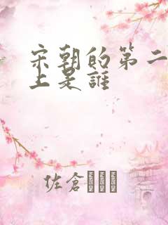 宋朝的第二个皇上是谁