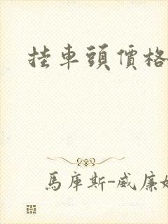 挂车头价格