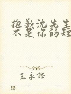 抱歉沈先生孩子不是你的短剧在线免费观看