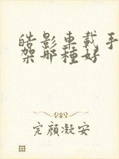皓影车载手机支架哪种好