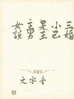 女主是小三的小说男主已婚现代文 女主是小三的小说男主已婚现代文