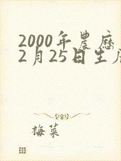 2000年农历2月25日生辰八字