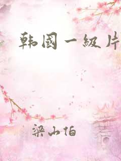 韩国一级片伦理