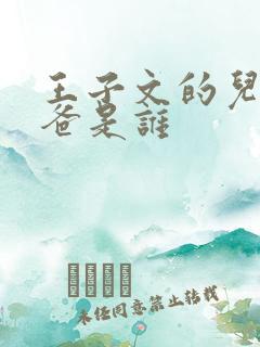 王子文的儿子爸爸是谁