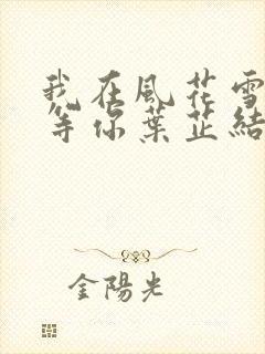 我在风花雪月里等你叶芷结局