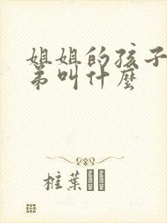 姐姐的孩子管弟弟叫什么