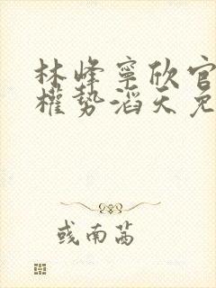 林峰宁欣官道之权势滔天免费阅读