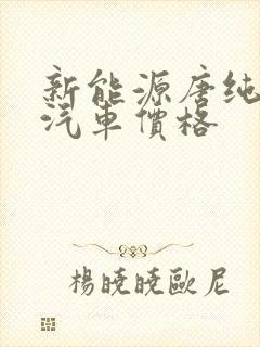 新能源唐纯电动汽车价格