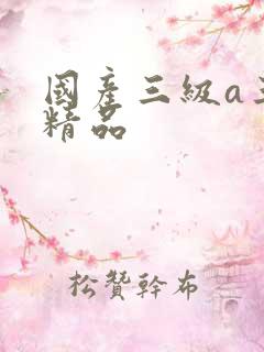 国产三级a三级精品