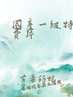 国产一级特黄免费片