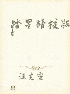 踏星精校版txt