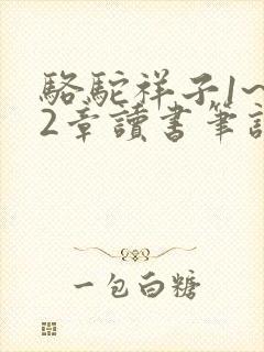骆驼祥子1~12章读书笔记