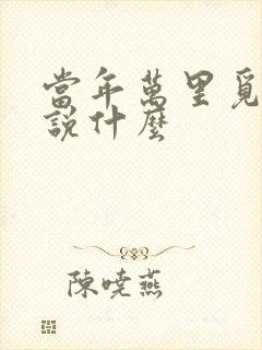 当年万里觅封侯说什么 当年万里觅封侯说什么