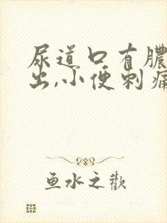 尿道口有脓液流出,小便刺痛