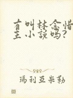 有叫林念惜的女主小说吗?