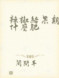 辣椒结果期应施什么肥