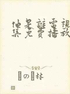 他是谁电视剧全集免费播放下载