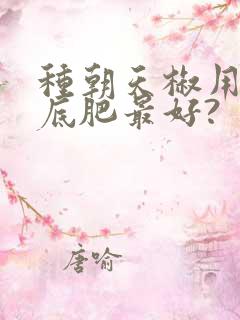 种朝天椒用什么底肥最好?