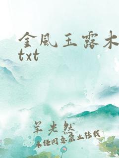 金风玉露木兮娘txt