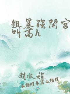 粗暴强开宫口哭叫高h