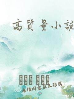 高质量小说肉