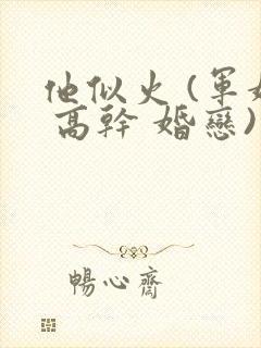 他似火 (军婚 高干 婚恋)类似小说