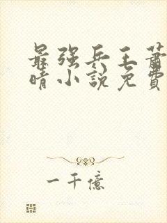 最强兵王萧晨苏晴小说免费阅读