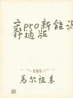 宋pro新能源舒适版