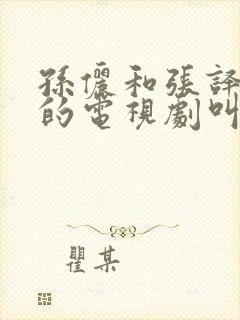 孙俪和张译主演的电视剧叫什么