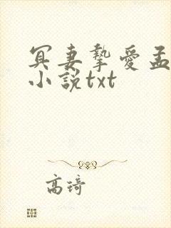 冥妻挚爱孟子辰小说txt 冥妻挚爱孟子辰小说txt