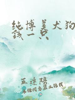 纯博美犬狗多少钱一只
