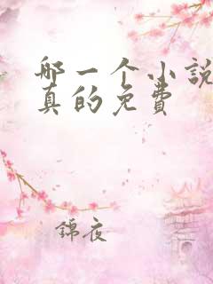哪一个小说软件真的免费
