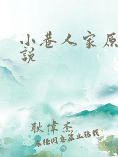 小巷人家原著小说