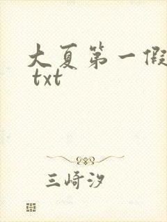 大夏第一假太监 txt