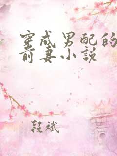 穿成男配的炮灰前妻小说