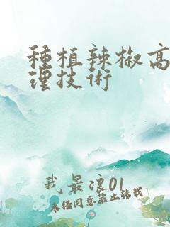 种植辣椒高产管理技术