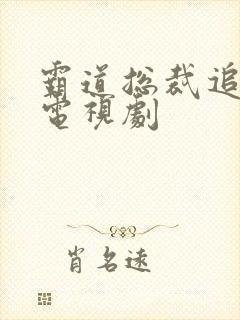 霸道总裁追妻的电视剧