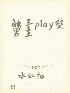 触手play双男主