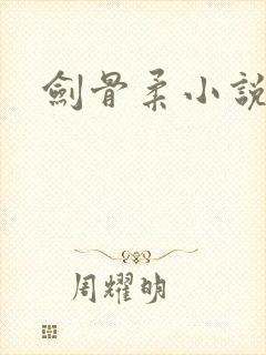 剑骨柔小说