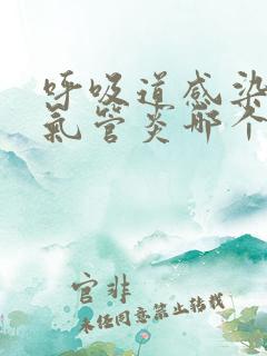 呼吸道感染和支气管炎哪个严重