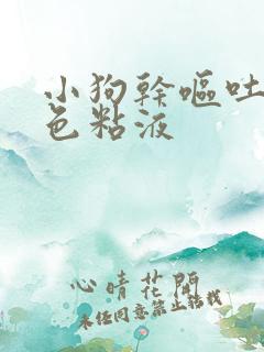 小狗干呕吐出白色粘液 小狗干呕吐出白色粘液