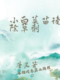 小白菜苗后阔叶除草剂 小白菜苗后阔叶除草剂