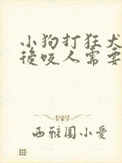 小狗打狂犬疫苗后咬人需要打针吗