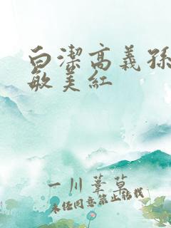 白洁高义孙倩张敏美红