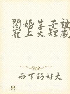 闪婚生子被老公宠上天短剧免费观看