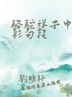 骆驼祥子中的精彩句段