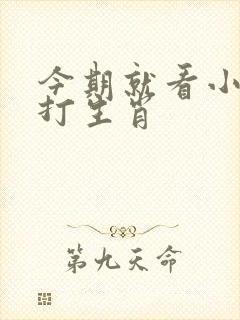 今期就看小数号打生肖